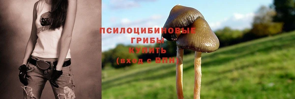 бошки Алзамай