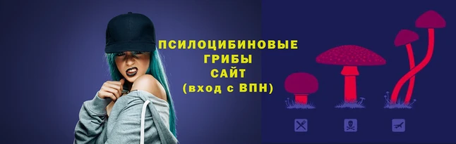 бошки Алзамай