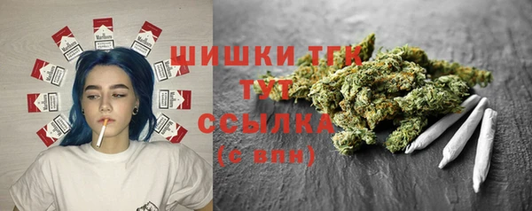 прущие грибы Валуйки