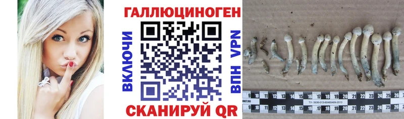 Галлюциногенные грибы мухоморы где продают Богучар