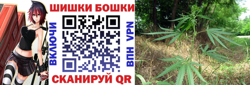 МАРИХУАНА план  Богучар 
